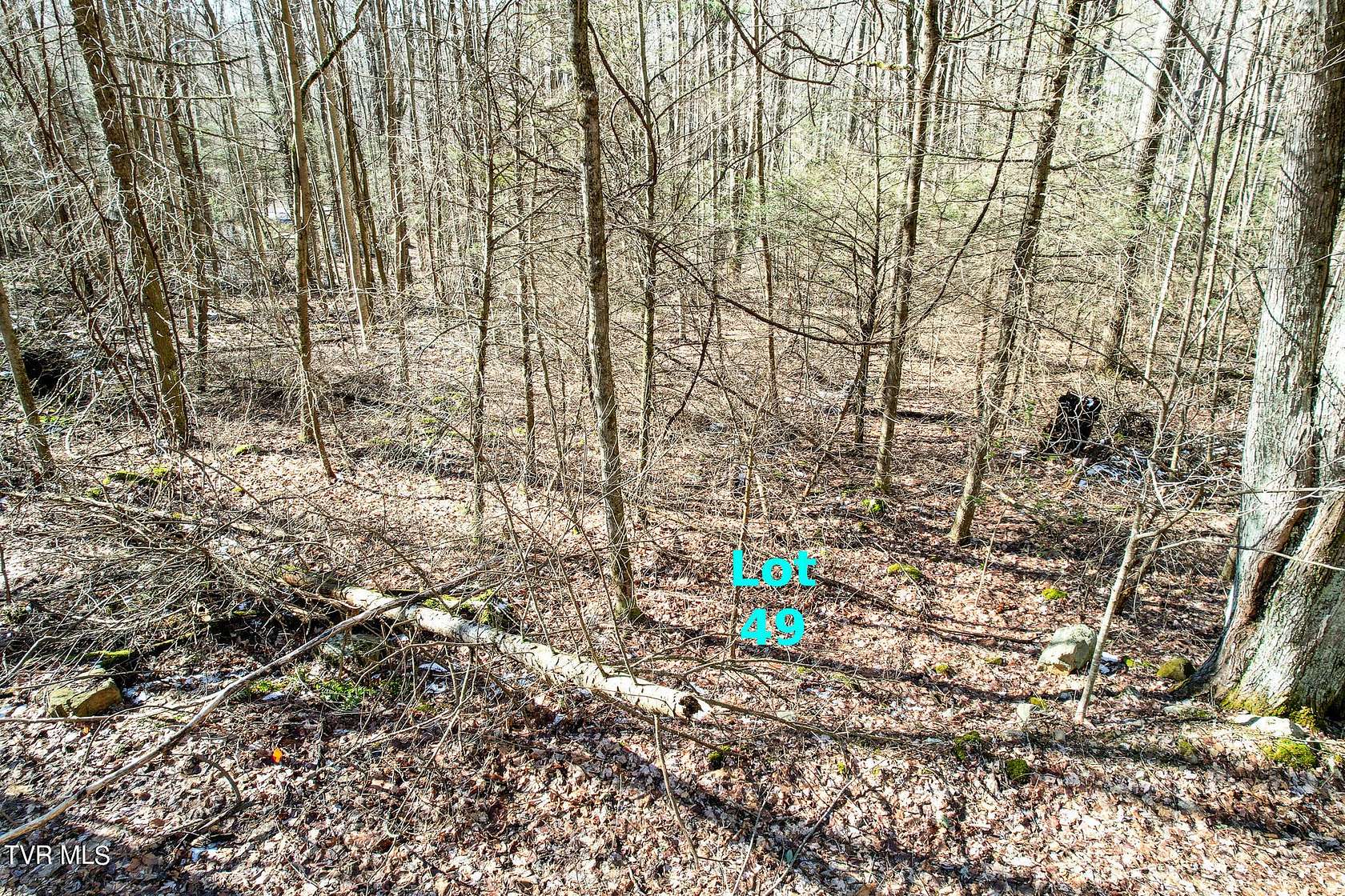 0.47 Acres of Residential Land for Sale in Greeneville, Tennessee