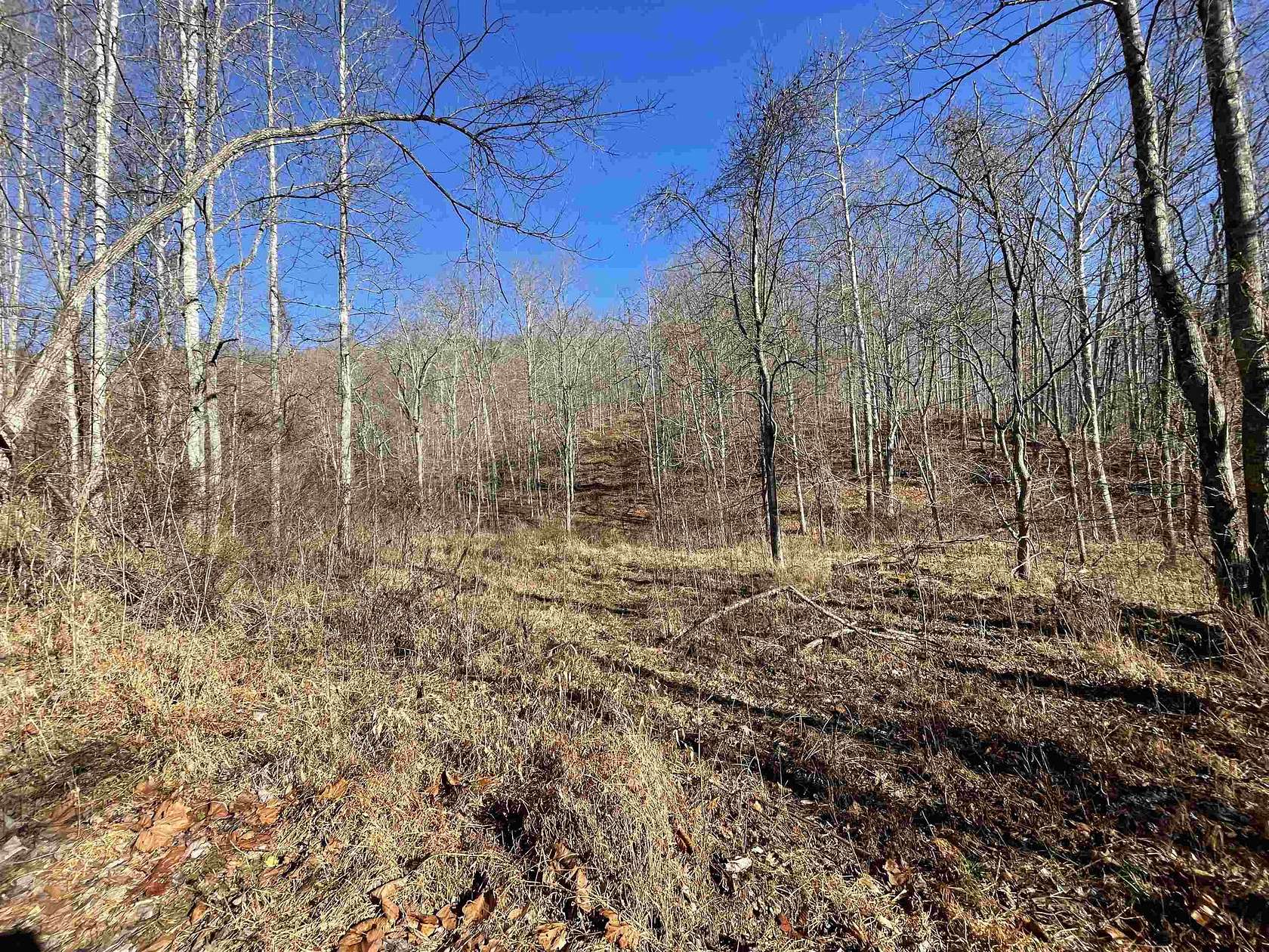45.5 Acres of Land for Sale in Wayne, West Virginia