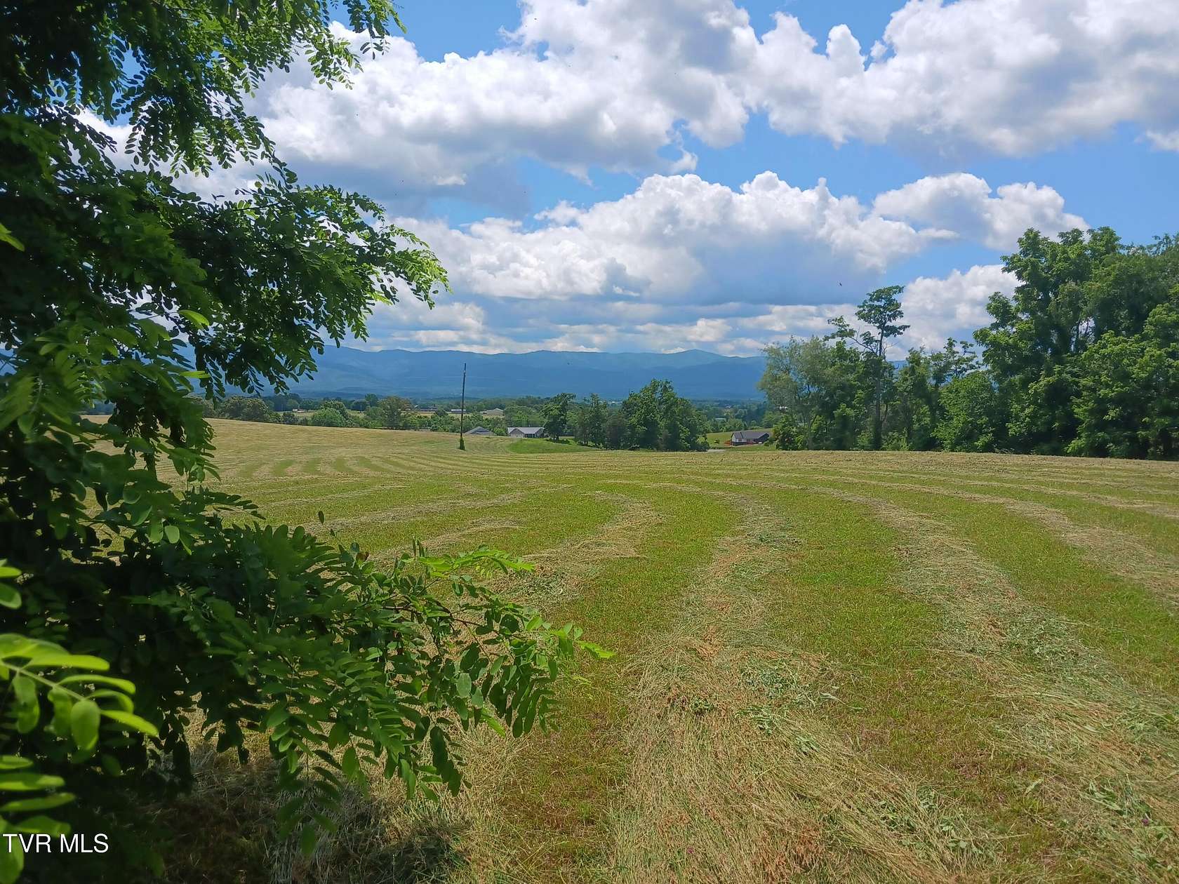 26 Acres of Land for Sale in Afton, Tennessee