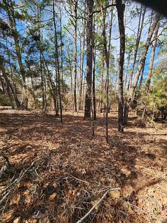 0.19 Acres of Residential Land for Sale in Brookeland, Texas