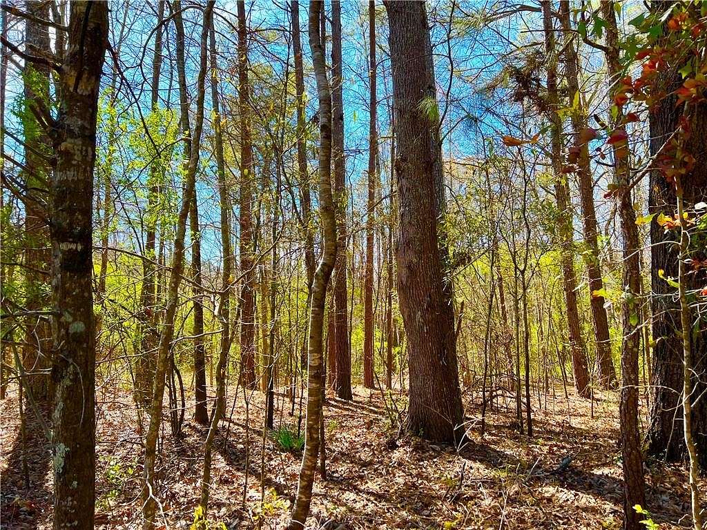 18.4 Acres of Land for Sale in Winston, Georgia