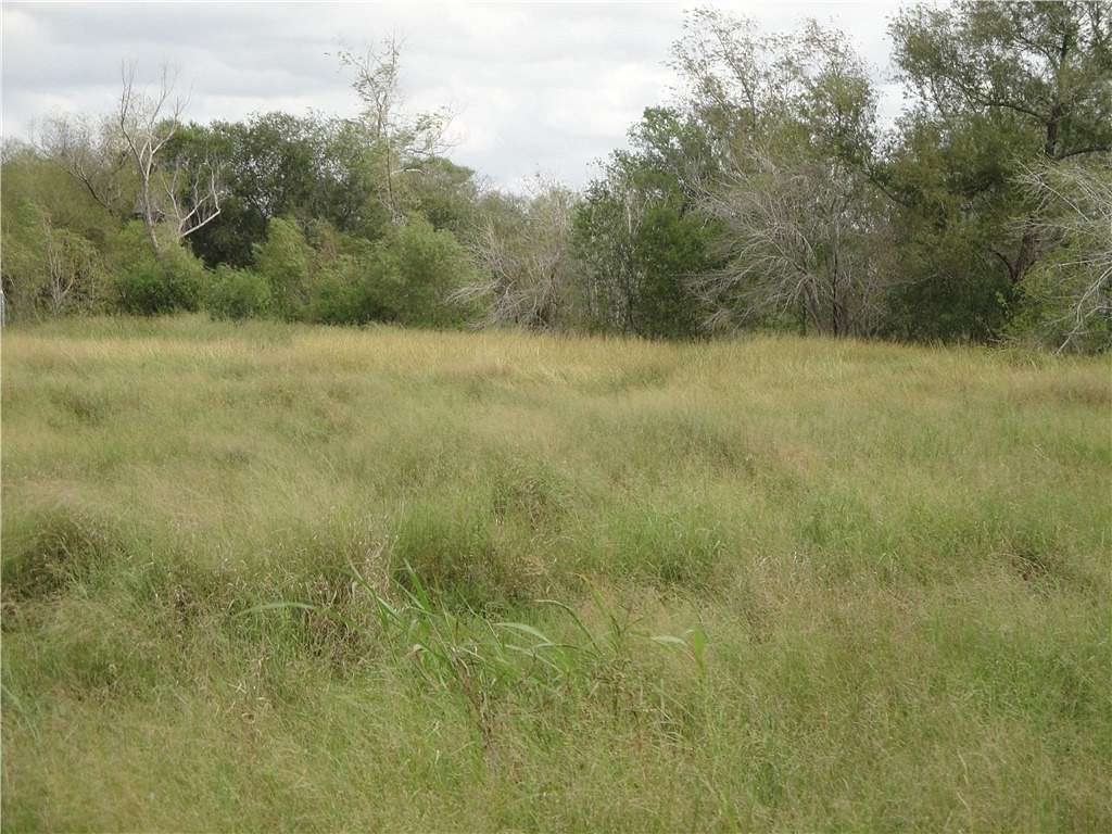 0.43 Acres of Land for Sale in Mathis, Texas