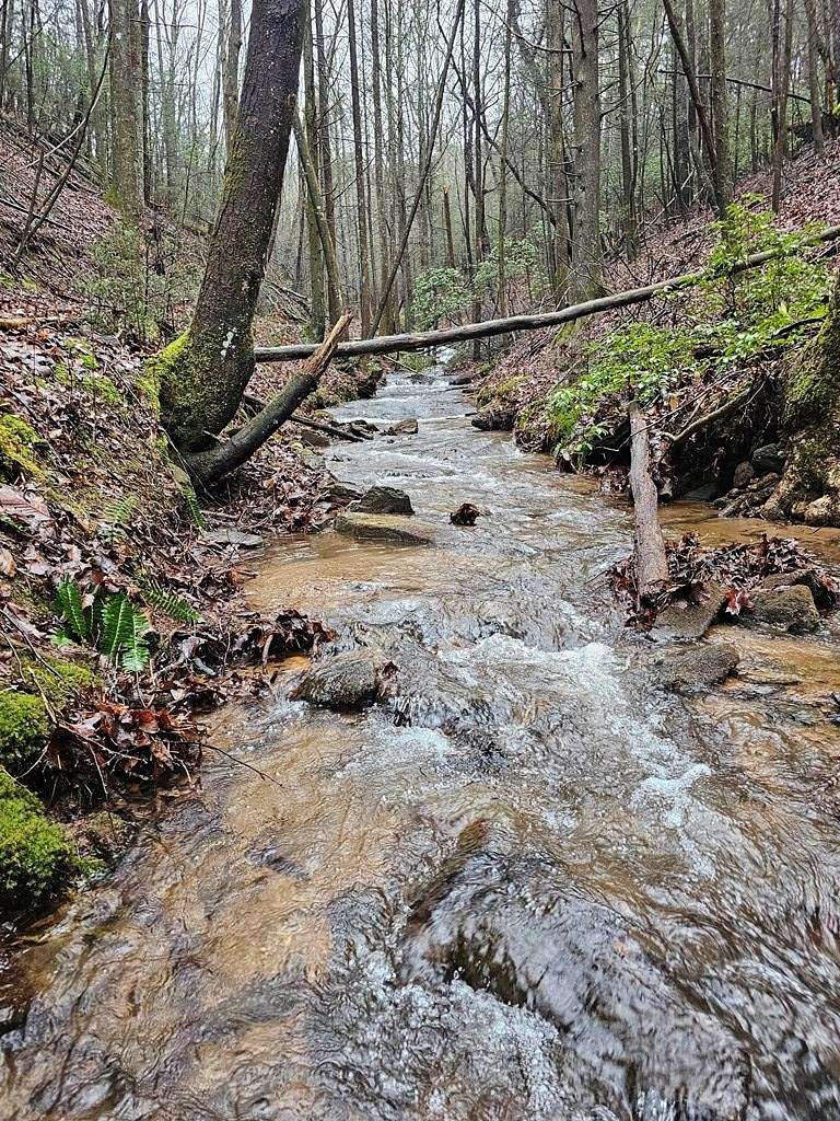10.5 Acres of Recreational Land for Sale in Ellijay, Georgia