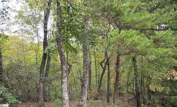 2.5 Acres of Residential Land for Sale in Travelers Rest, South Carolina
