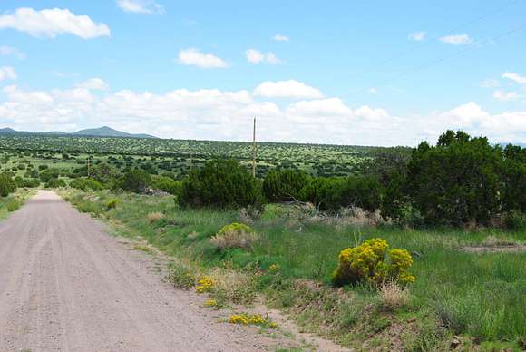 30 Acres of Land for Sale in Magdalena, New Mexico