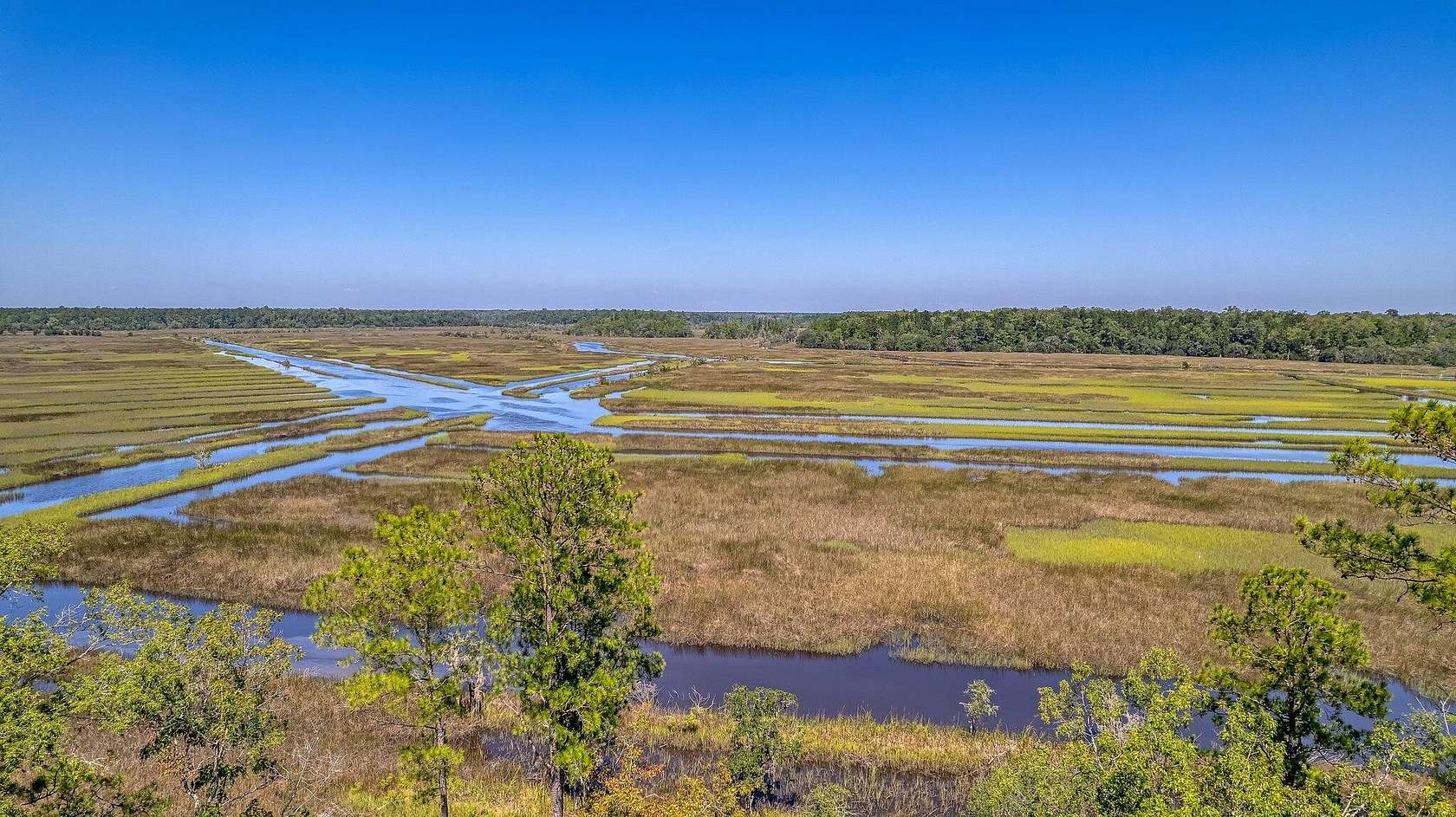 0.75 Acres of Residential Land for Sale in Ravenel, South Carolina