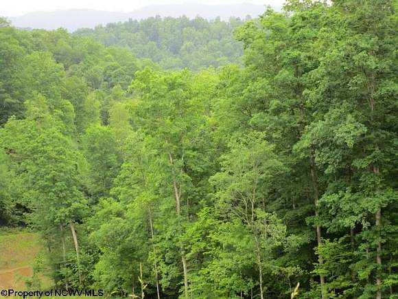 20.9 Acres of Recreational Land for Sale in Kerens, West Virginia