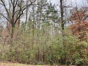 0.83 Acres of Residential Land for Sale in Alexander City, Alabama