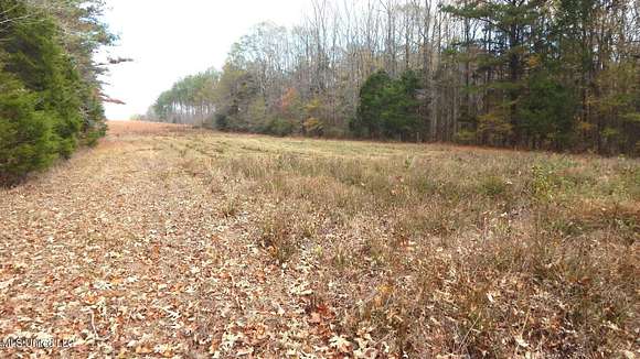 79.9 Acres of Recreational Land for Sale in Pontotoc, Mississippi