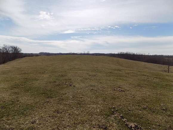 113 Acres of Agricultural Land for Sale in Ewing, Kentucky