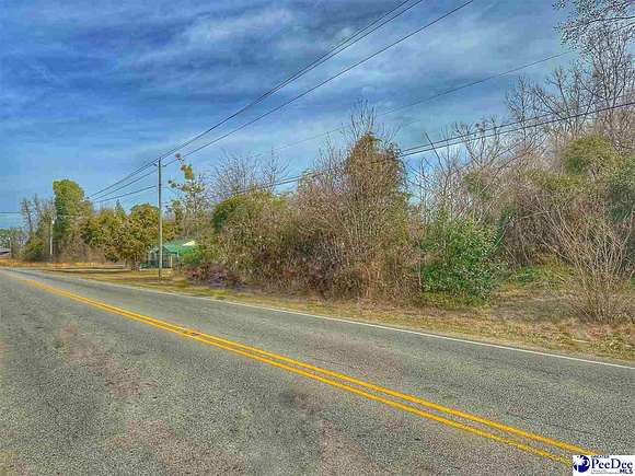 0.38 Acres of Residential Land for Sale in Dillon, South Carolina