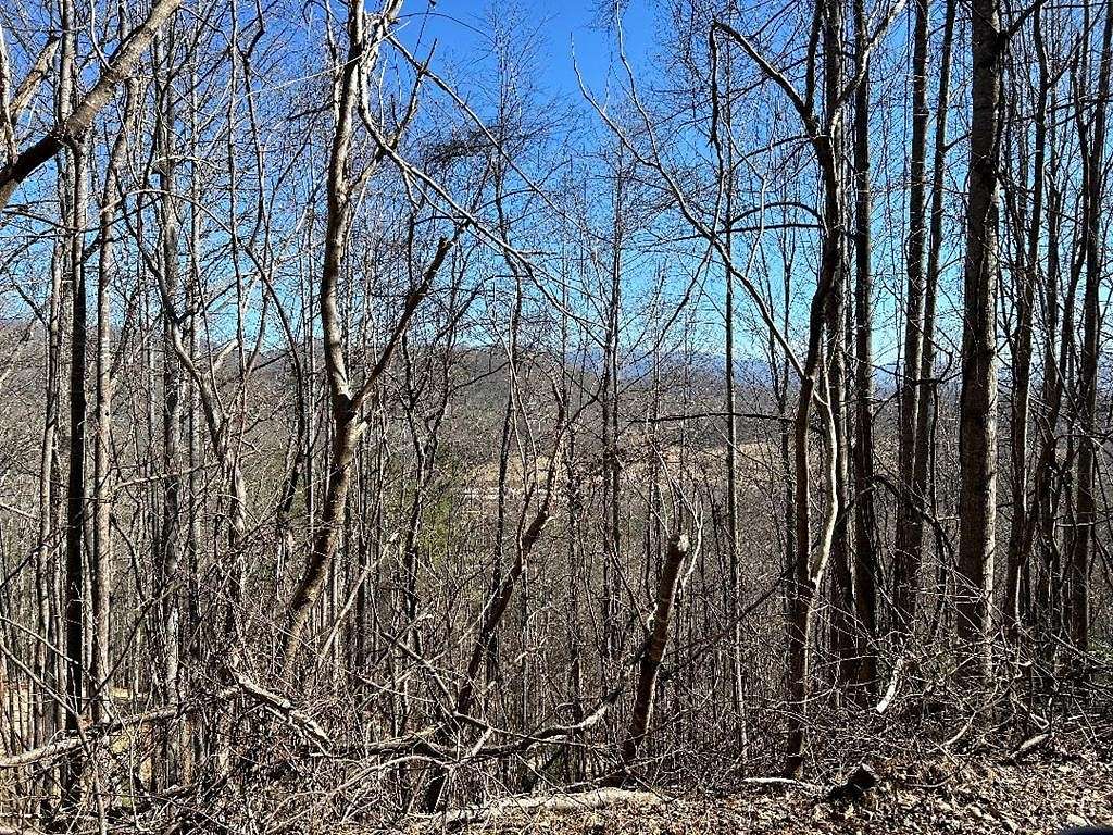 1.7 Acres of Land for Sale in Blairsville, Georgia