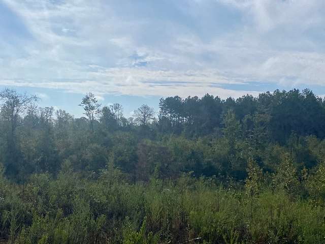 107 Acres of Recreational Land & Farm for Sale in Summit, Mississippi