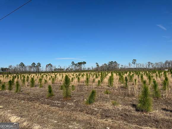 9.5 Acres of Land for Sale in Baxley, Georgia