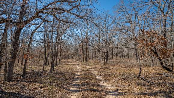 10 Acres of Recreational Land for Sale in Buckholts, Texas