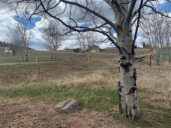 0.69 Acres of Land for Sale in Divide, Colorado