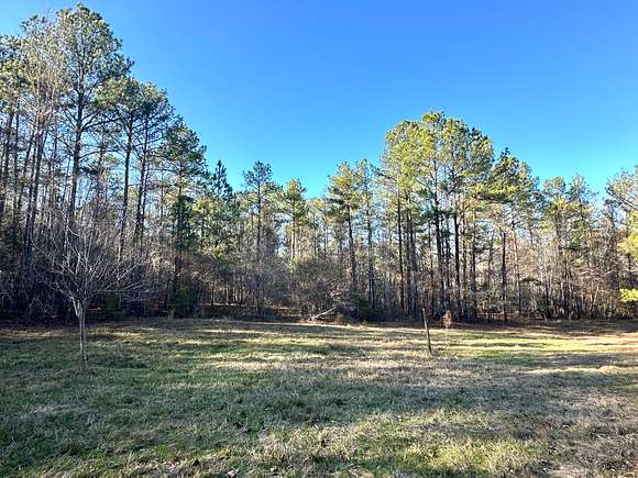 145 Acres of Recreational Land for Sale in Brent, Alabama