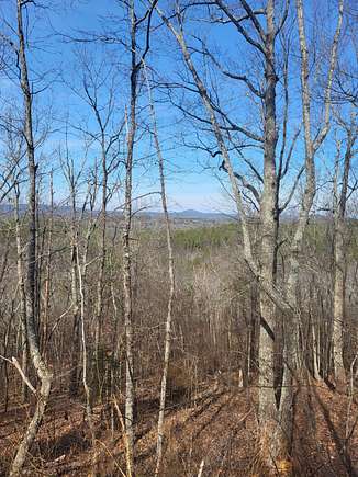 12 Acres of Land for Sale in Talladega, Alabama