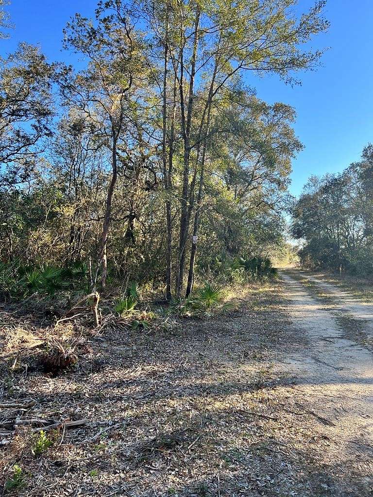 15 Acres of Land for Sale in Cross City, Florida