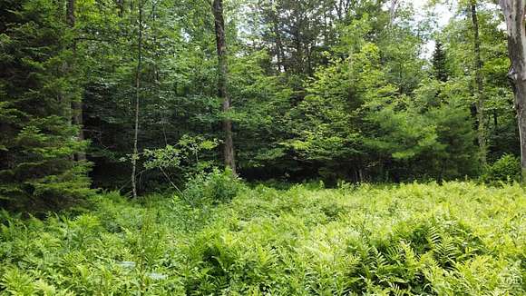 12.47 Acres of Land for Sale in Hunter, New York