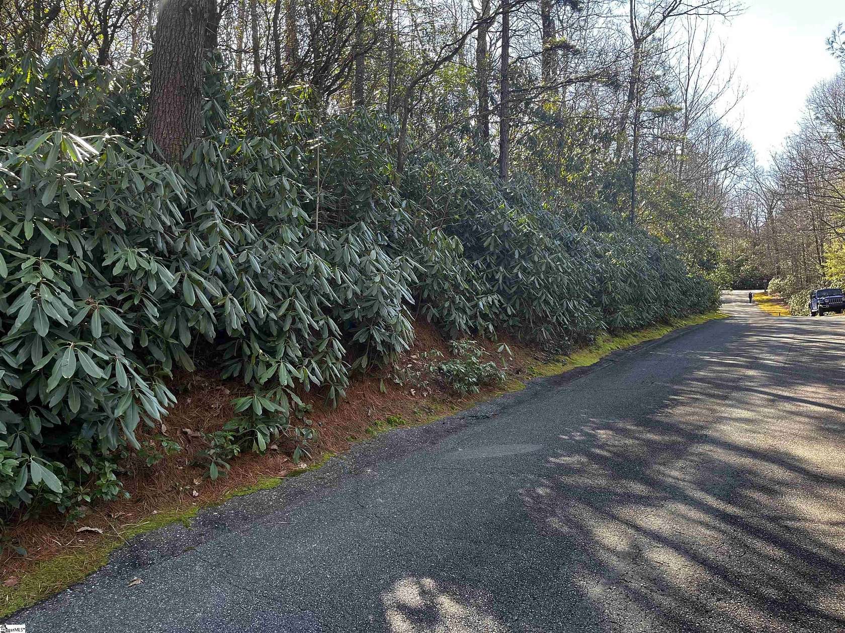 0.59 Acres of Land for Sale in Cleveland, South Carolina