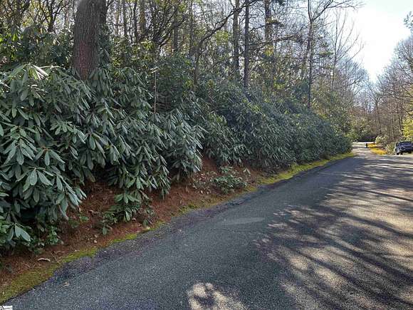0.59 Acres of Residential Land for Sale in Cleveland, South Carolina