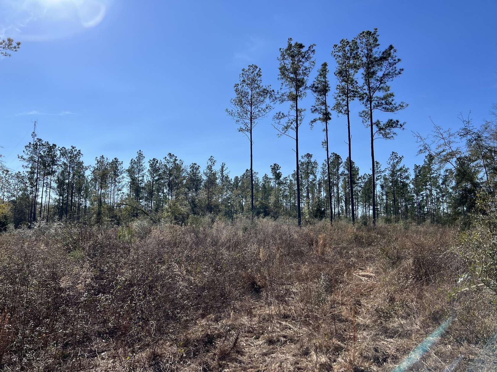 33 Acres of Land for Sale in Ponce de Leon, Florida