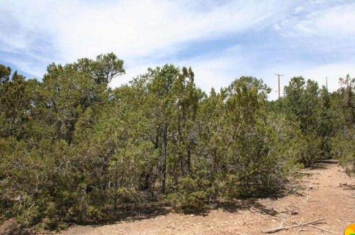 7.2 Acres of Land for Sale in Tijeras, New Mexico