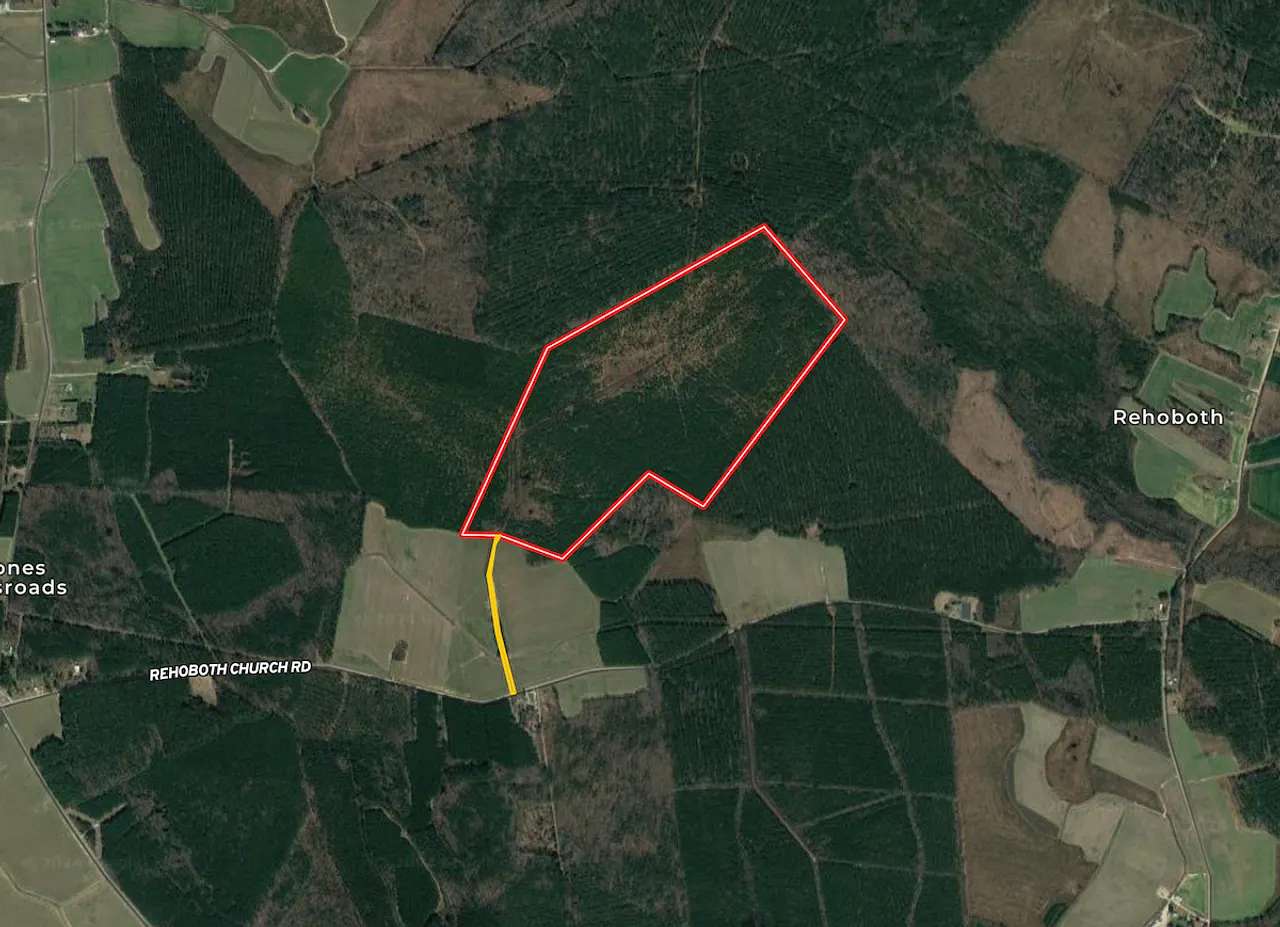 163 Acres of Land for Sale in Jackson, North Carolina
