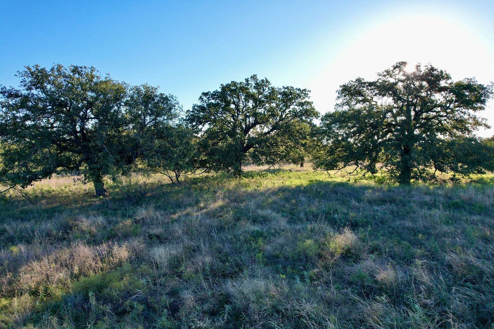 5 Acres of Recreational Land & Farm for Sale in Cisco, Texas