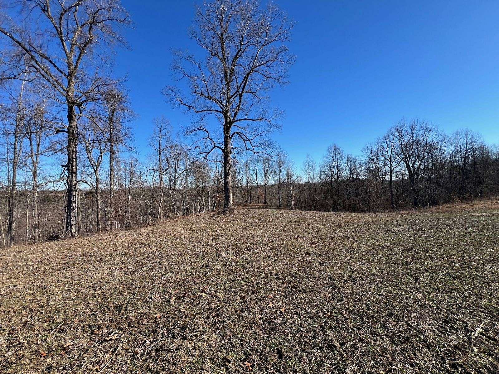140 Acres of Recreational Land with Home for Sale in Scottown, Ohio