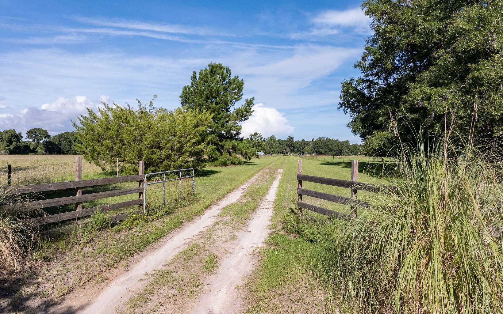 79.03 Acres of Agricultural Land with Home for Sale in Wellborn, Florida