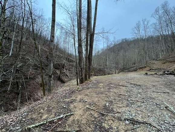 50 Acres of Land for Sale in Wheelwright, Kentucky