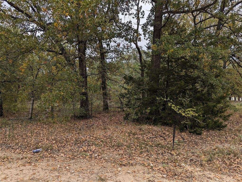 0.5 Acres of Commercial Land for Sale in Trinidad, Texas