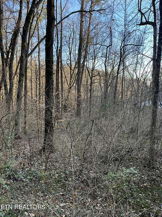 0.73 Acres of Land for Sale in Knoxville, Tennessee