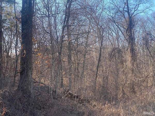 0.5 Acres of Commercial Land for Sale in Jasonville, Indiana