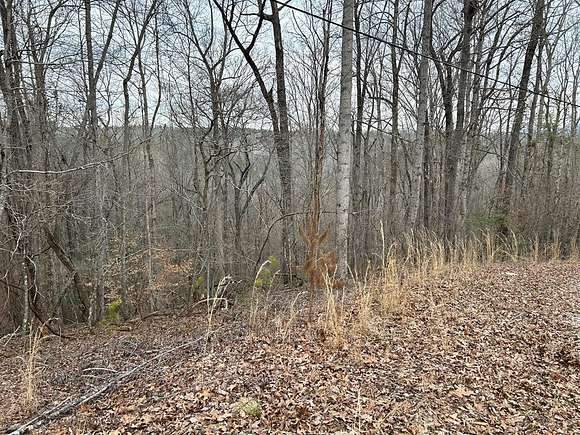 1.13 Acres of Residential Land for Sale in Ellijay, Georgia