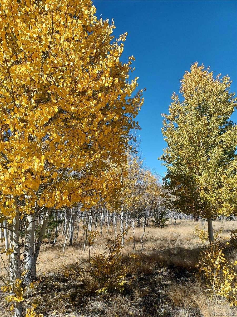 4 Acres of Residential Land for Sale in Hartsel, Colorado