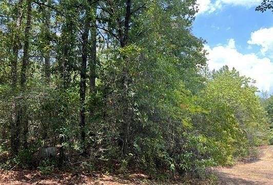 2 Acres of Residential Land for Sale in Holly Lake Ranch, Texas