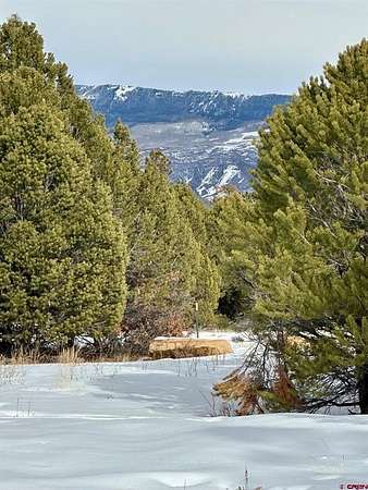 0.92 Acres of Land for Sale in Ridgway, Colorado
