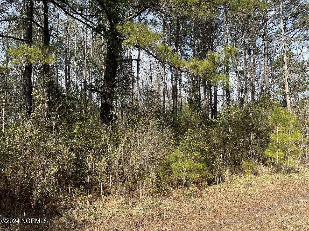 0.65 Acres of Land for Sale in Maple Hill, North Carolina