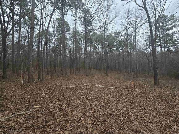 5 Acres of Land for Sale in Clinton, Arkansas
