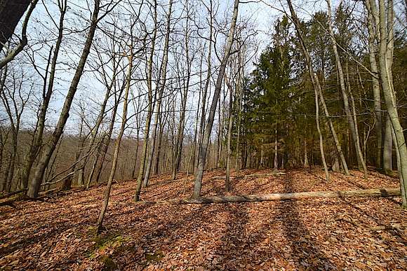 12.4 Acres of Recreational Land for Sale in Danville, Ohio