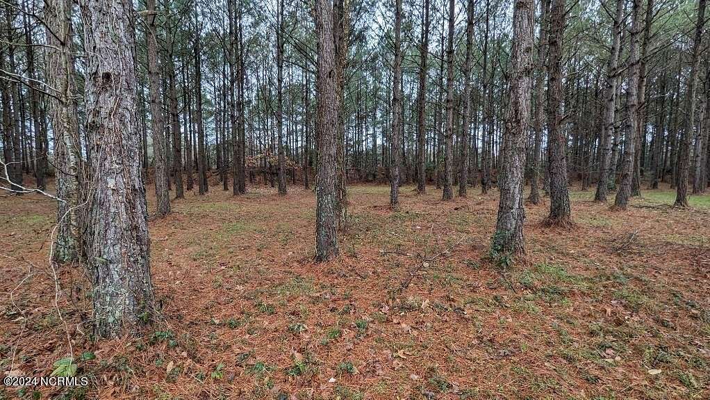 0.27 Acres of Residential Land for Sale in Wallace, North Carolina