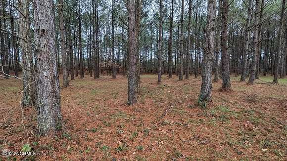 0.27 Acres of Residential Land for Sale in Wallace, North Carolina