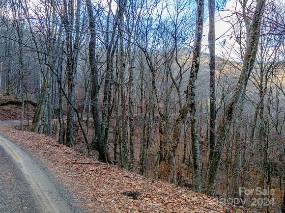 5 Acres of Residential Land for Sale in Waynesville, North Carolina