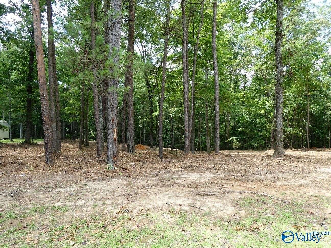 0.68 Acres of Residential Land for Sale in Jasper, Alabama