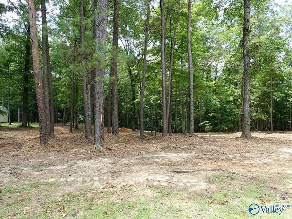0.68 Acres of Residential Land for Sale in Jasper, Alabama