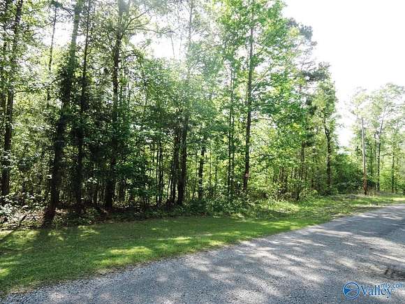 0.7 Acres of Residential Land for Sale in Jasper, Alabama