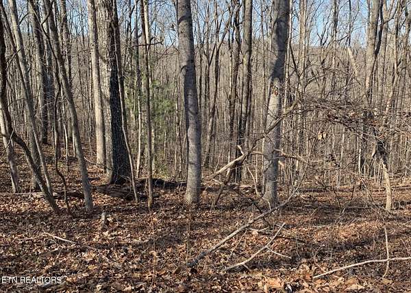 0.22 Acres of Residential Land for Sale in Fairfield Glade, Tennessee